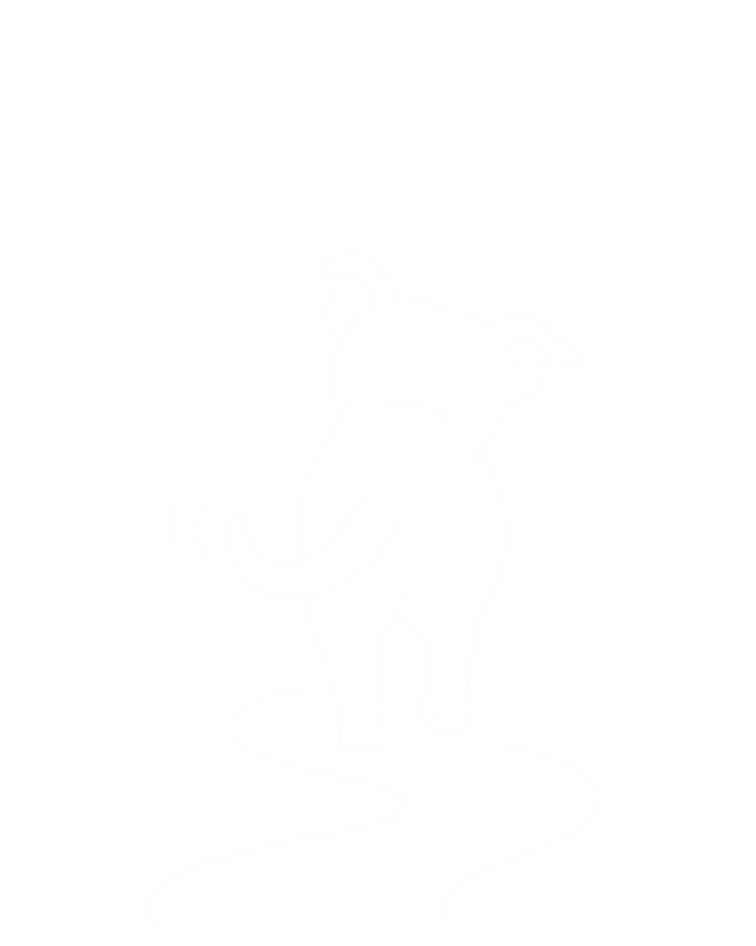 Tail Track logo